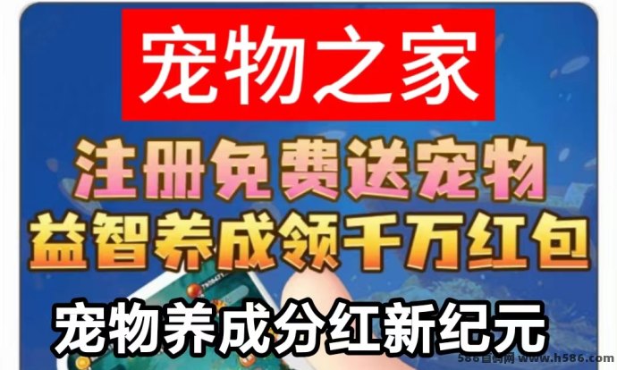 宠物之家养猫赚米攻略：每日收溢可达36米，轻松实现持续分虹